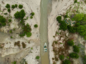 High angle view of trees by sea