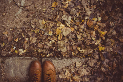 Low section of person standing on dry autumn leaves