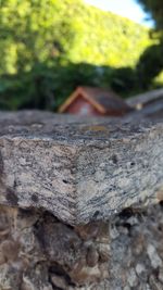 Close-up of wood