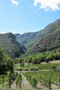 Scenic view of mountains against sky
