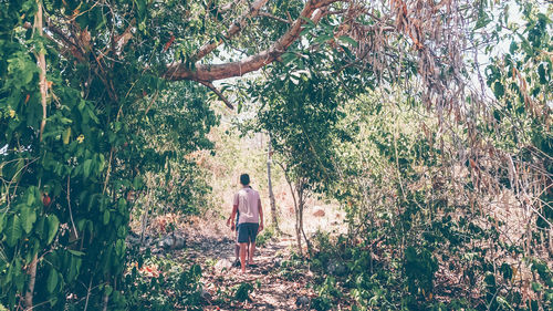 Rear view of shirtless woman standing by tree in forest