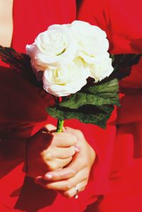 Close-up of hand holding rose bouquet
