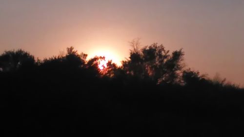 Silhouette trees against sky during sunset