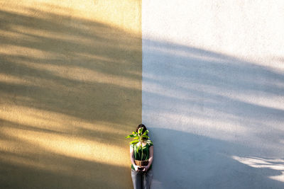 Low angle view of woman with potted plant on wall