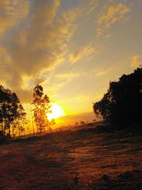 Scenic view of field against sky during sunset