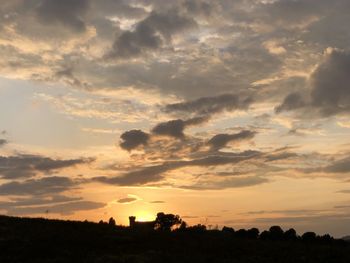 Silhouette trees on field against sky at sunset