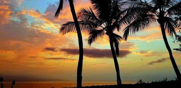 Low angle view of silhouette palm trees against sky during sunset