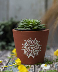 Close-up of potted plant
