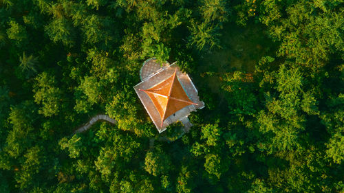 Directly above overlooking the pavilion