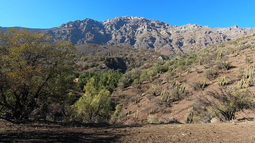 Scenic view of mountains against clear blue sky