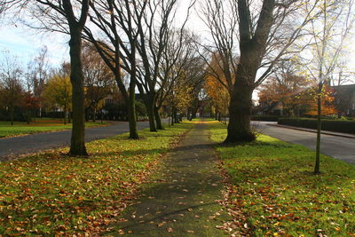 Empty road in park