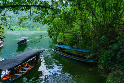 Boat moored on river amidst trees