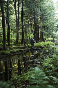 Trees growing in forest