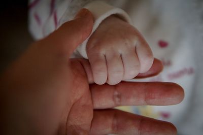 Cropped image of baby holding father hand