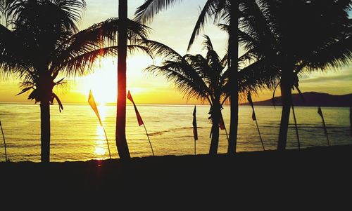 Silhouette of palm trees at sunset