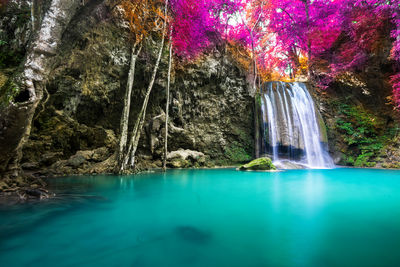 Scenic view of waterfall in forest