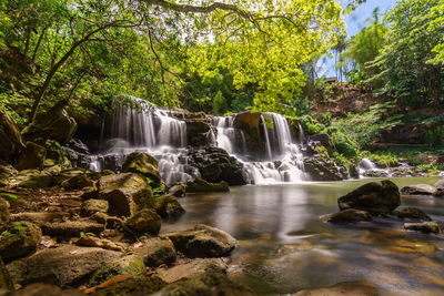 Scenic view of waterfall in forest