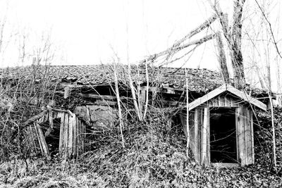 Old house on field