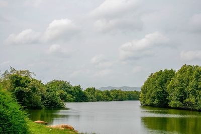Scenic view of lake in forest against sky