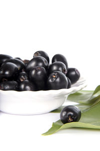 Close-up of black fruits and leaves against white background