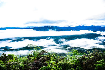 Scenic view of clouds over mountain