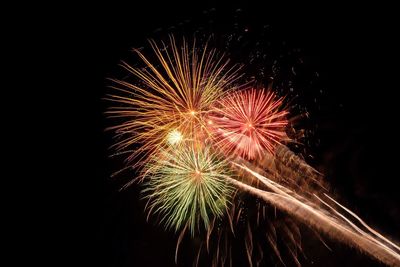 Low angle view of firework display against sky at night