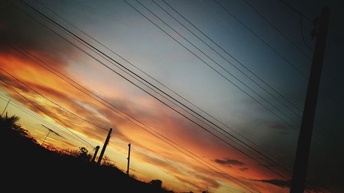 Silhouette of trees at sunset