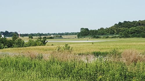 Scenic view of field against clear sky