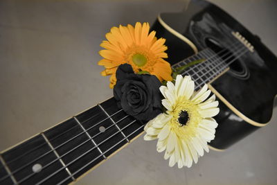 Close-up of yellow flowers