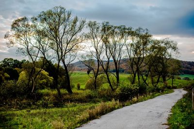 Road by trees against sky