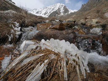 Scenic view of snowcapped mountains during winter