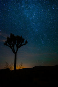 Low angle view of silhouette tree against sky at night