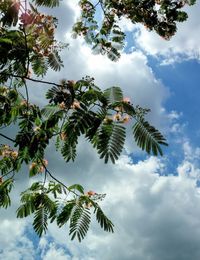 Low angle view of tree against sky