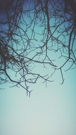 Low angle view of bare trees against sky