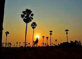 Silhouette palm trees on field against sky during sunset