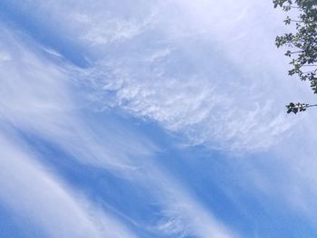 Low angle view of vapor trail in sky