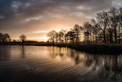 Reflection of trees in water