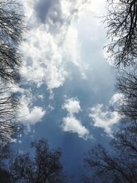 Low angle view of silhouette trees against sky