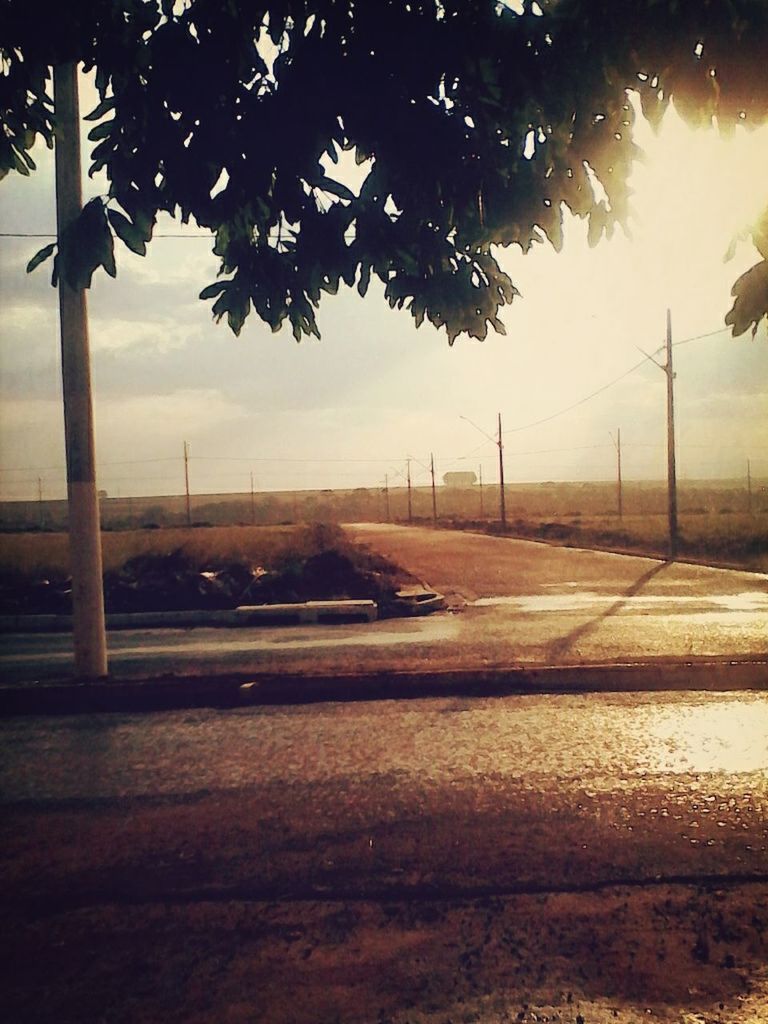 tree, transportation, road, sky, the way forward, street light, empty, street, sunset, car, tranquility, no people, nature, absence, outdoors, silhouette, diminishing perspective, wet, dusk, bench