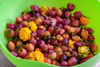 Close-up of tomatoes in bowl on table