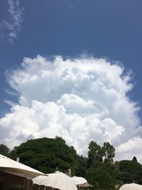 Low angle view of trees and building against sky