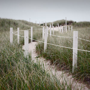 Close-up of wooden post against grass