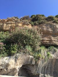 Scenic view of rocks by trees against clear sky