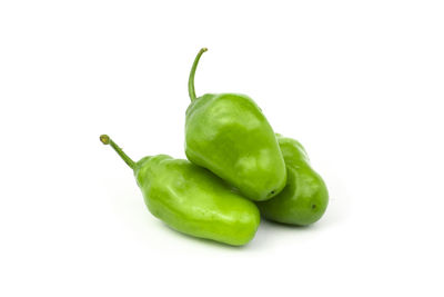Close-up of green chili pepper against white background