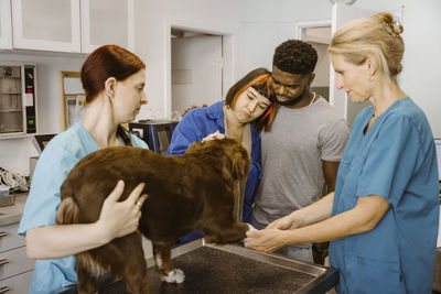 Sad couple looking at bulldog while nurse and vet examining him on table in animal hospital