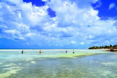 Scenic view of beach against blue sky