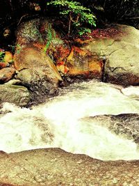 Close-up of water flowing through rocks