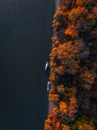 High angle view of trees and river during autumn