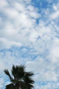 Low angle view of tree against sky