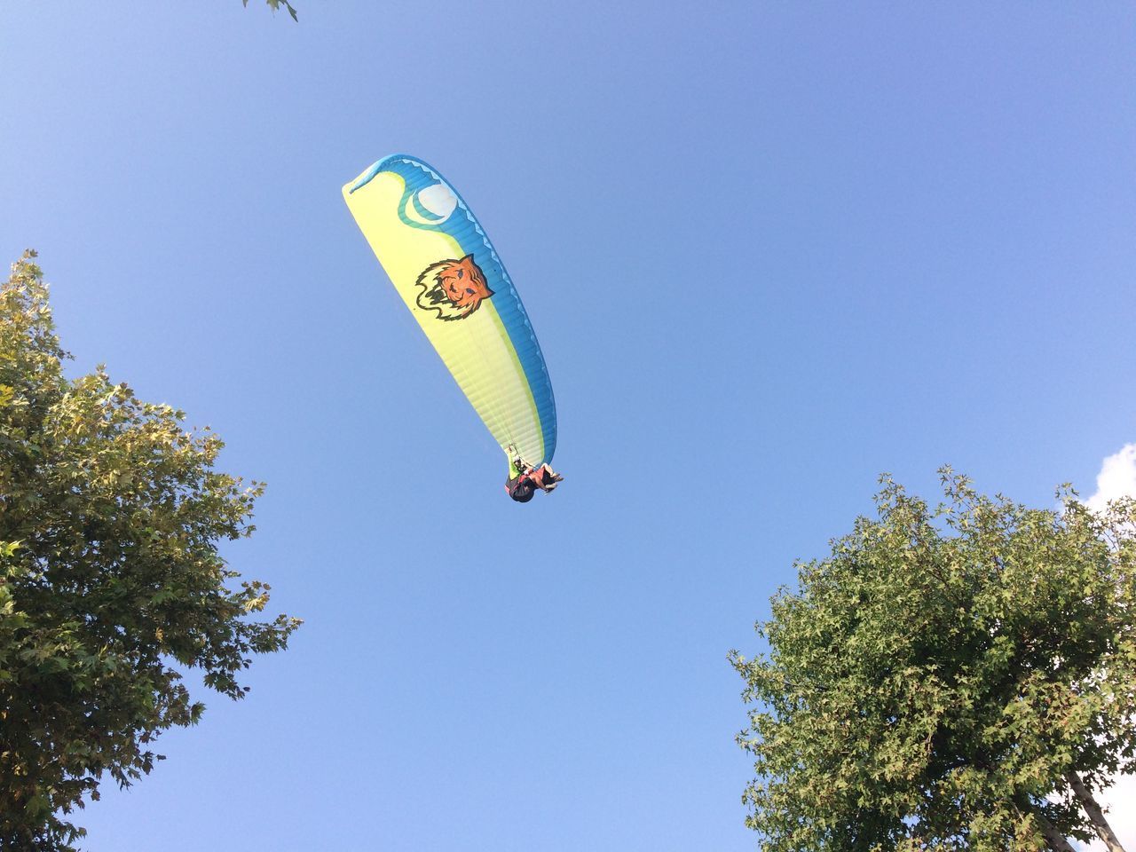 LOW ANGLE VIEW OF KITE AGAINST CLEAR BLUE SKY